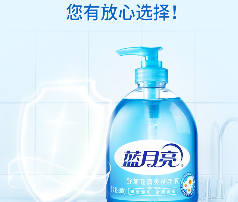 蓝月亮芦荟洗手液 抑菌洗手液500g*2+抑菌洗手液瓶补500g*2