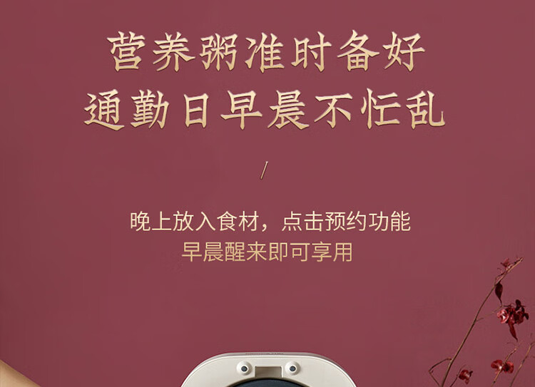 九阳（Joyoung）电饭煲2L升迷你多功能电饭锅预约定时不粘内胆 F20FZ-F131(B)丹枫红