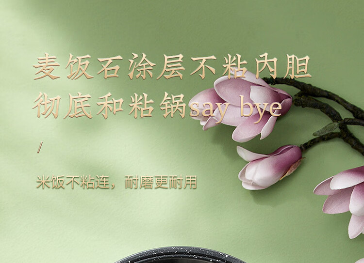 九阳（Joyoung）电饭煲2L升迷你多功能电饭锅预约定时不粘内胆 F20FZ-F131(B)丹枫红
