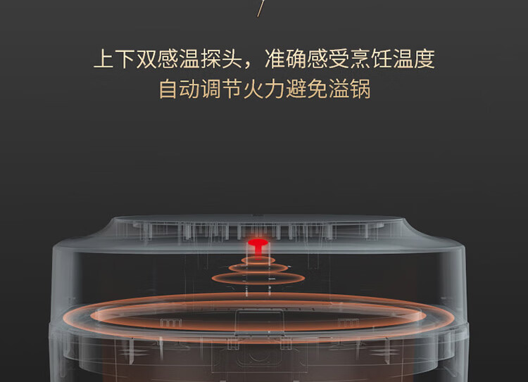 九阳（Joyoung）电饭煲2L升迷你多功能电饭锅预约定时不粘内胆 F20FZ-F131(B)丹枫红