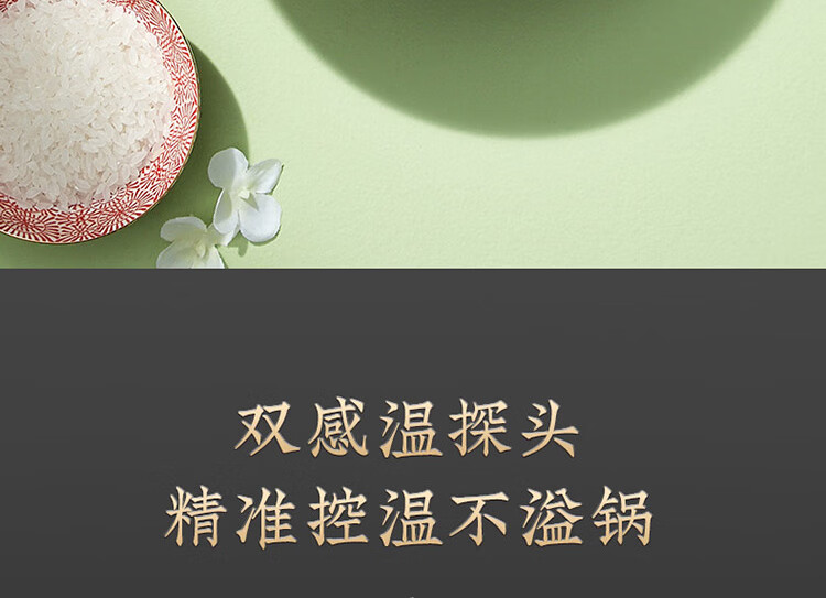 九阳（Joyoung）电饭煲2L升迷你多功能电饭锅预约定时不粘内胆 F20FZ-F131(B)丹枫红