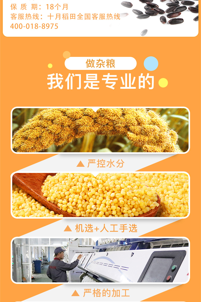 十月稻田黑米1kg