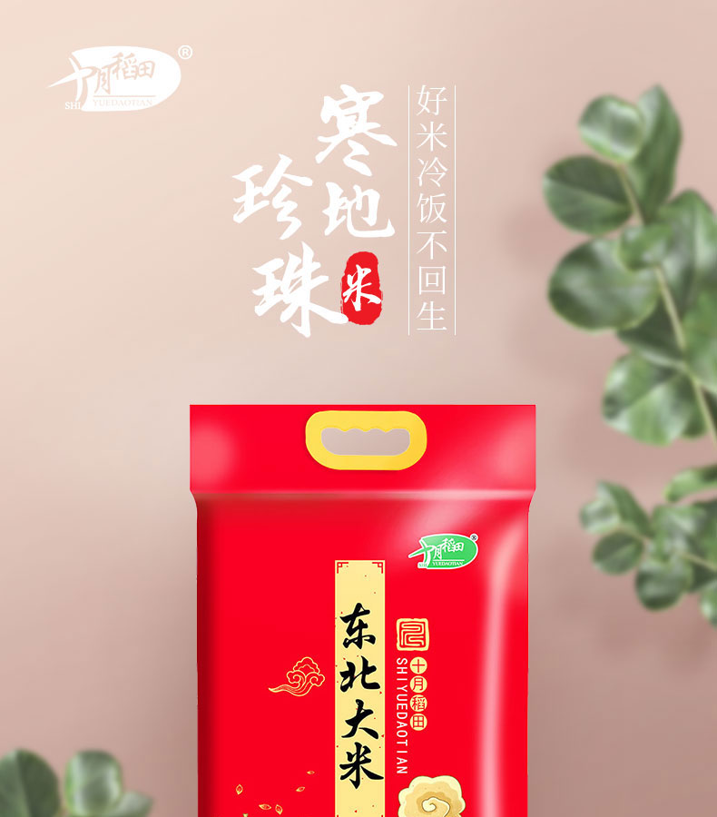 十月稻田东北大米5kg