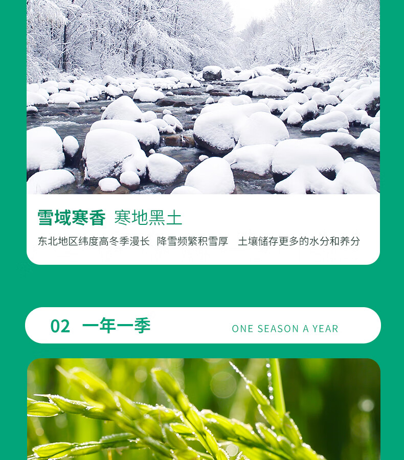 十月稻田 粥米1kg*2