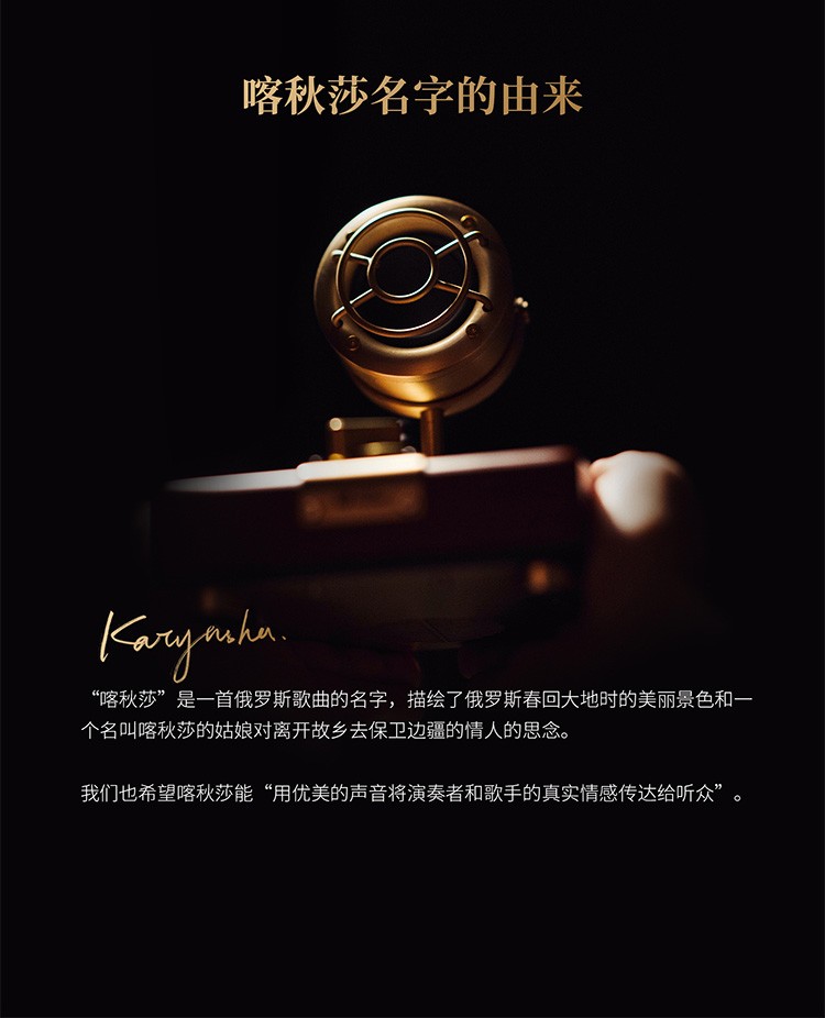 巫 喀秋莎 HiFi复古大功率蓝牙音响可调频功放家用大音量桌面音箱 木纹色（北上广三仓速发）