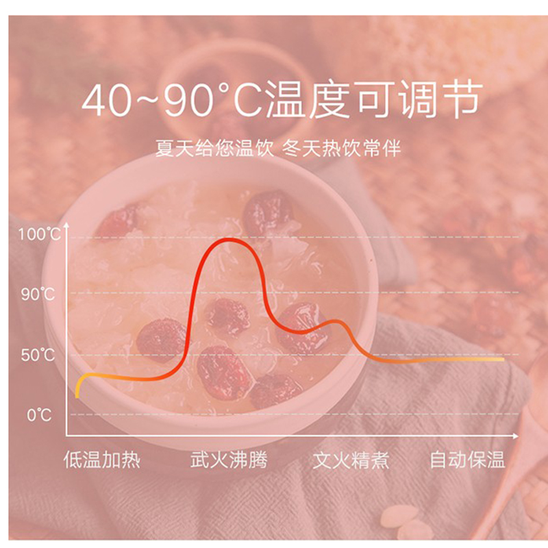 长虹养生壶 电水壶烧水壶煎药壶煮茶器煮茶壶电热水壶 迷你玻璃花茶壶黑茶恒温水壶CYS-18D06C