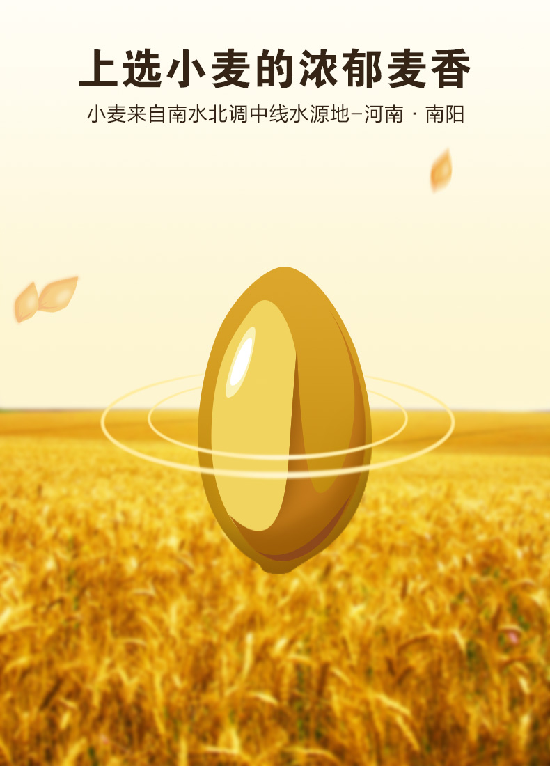 想念 面粉特一小麦粉5斤 家用小麦粉包子馒头用中筋面粉2.5kg