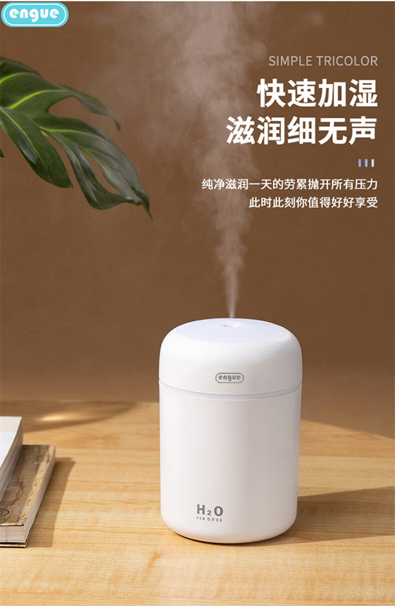 恩谷(engue)流光溢彩加湿器EG-020S 七彩灯光两档喷雾低噪运行断电保护 迷你便携白色