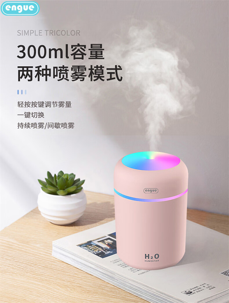 恩谷(engue)流光溢彩加湿器EG-020S 七彩灯光两档喷雾低噪运行断电保护 迷你便携白色