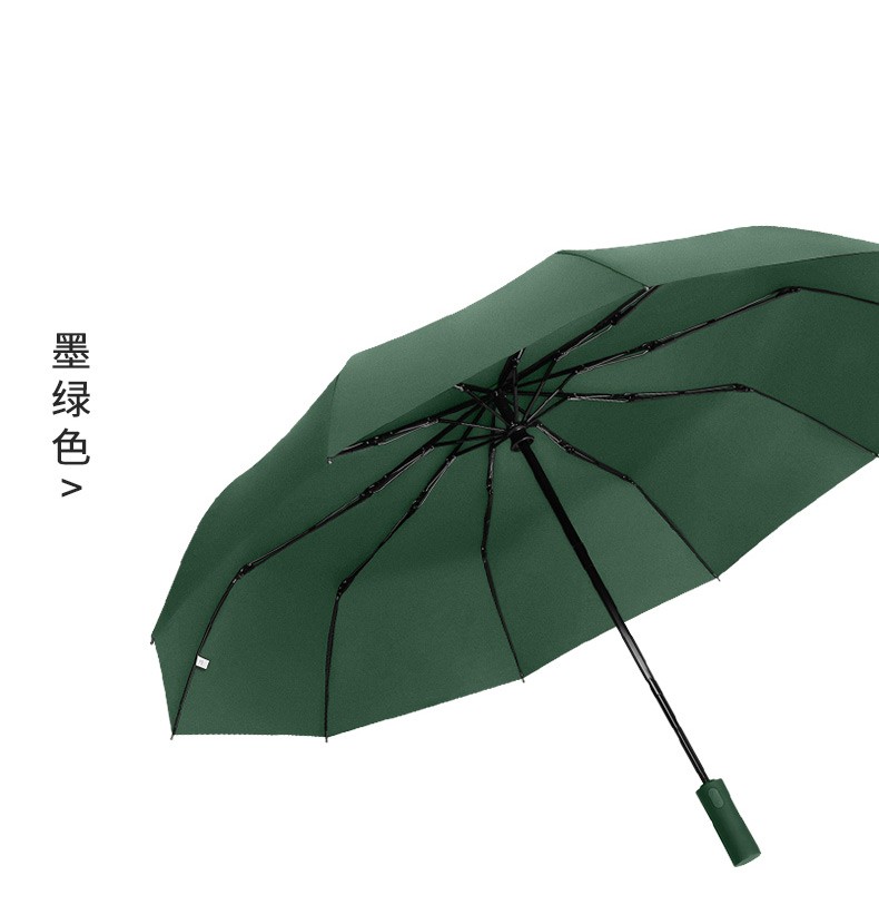 三极户外(Tri-polar)TP7036全自动雨伞折叠男女开收十骨双层晴雨两用伞简约三折伞商务黑64*10k