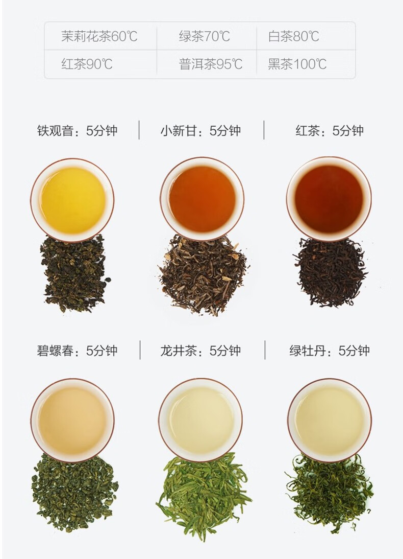 长虹（CHANGHONG）养生壶液体加热器煮茶壶花茶壶茶汤分离喷淋蒸萃 ZCQ-10T06