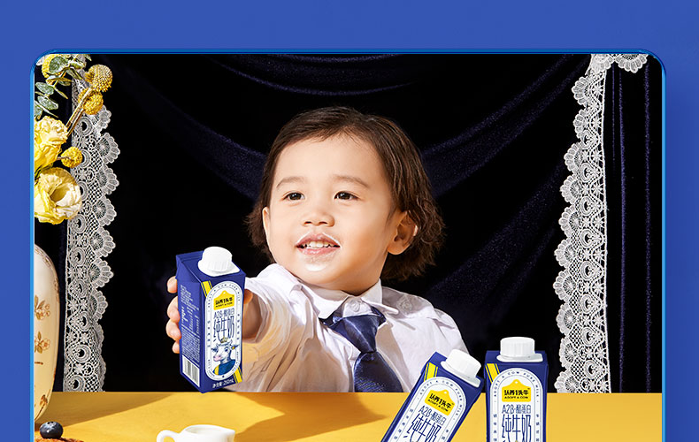 认养一头牛A2β-酪蛋白高端纯牛奶250ml * 10盒*2提