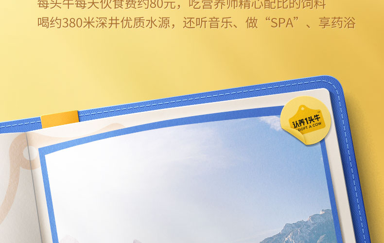 认养一头牛A2β-酪蛋白高端纯牛奶250ml * 10盒*2提