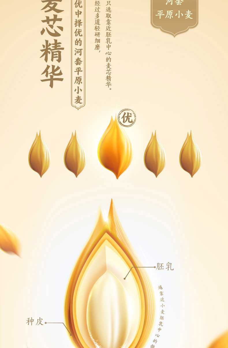 金龙鱼面粉 河套平原雪花粉小麦粉礼盒装(1kg*5袋) 5kg
