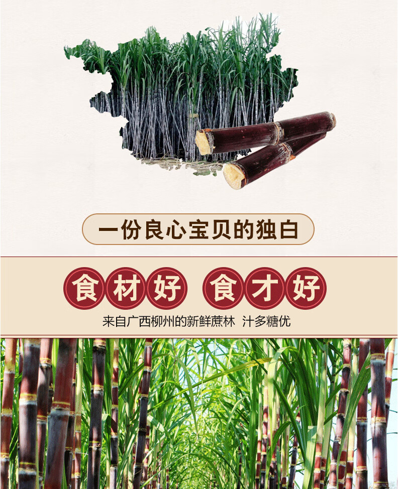 燕之坊菊花老冰糖480g 煮粥煲汤甜品食材袋装冰糖