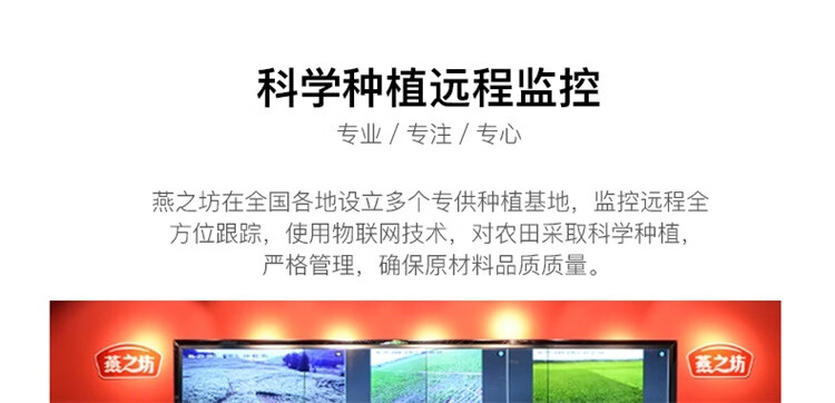 燕之坊小粒黄冰糖200g 煮粥煲汤甜品食材袋装冰糖