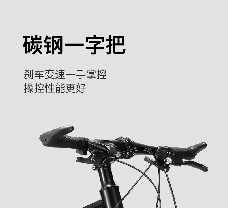 永久城市自行车铝合金自行车男女21变速城市单车 24寸钢架 白兰