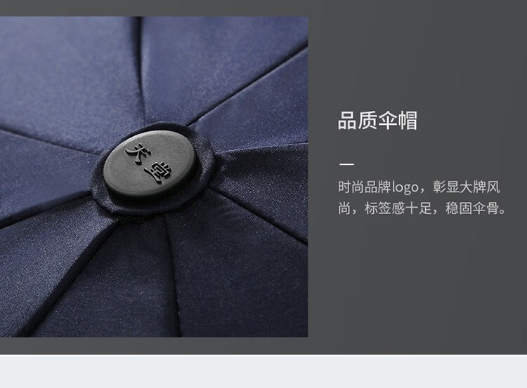 天堂伞 全自动伞商务伞雨伞三折伞加大加固双人大伞折叠三折伞 城市速写2231138E摩登灰