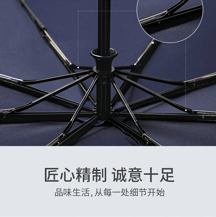 天堂伞 全自动伞商务伞雨伞三折伞加大加固双人大伞折叠三折伞 城市速写2231138E摩登灰
