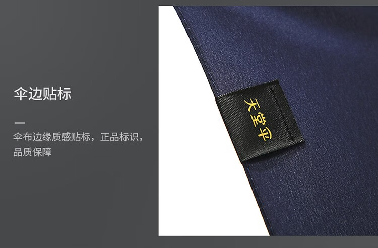 天堂伞 全自动伞商务伞雨伞三折伞加大加固双人大伞折叠三折伞 城市速写2231138E摩登灰