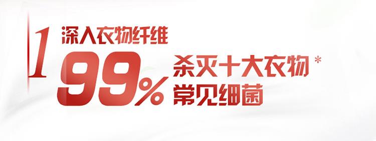 奥妙衣物除菌液 柠檬清新花香型 花香型1kg