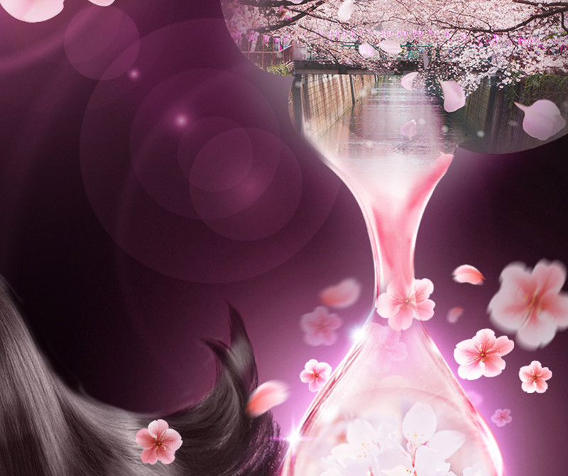 清扬洗发水清爽去屑止痒洗发露套装 樱花沁爽 樱花露香水润型 500克
