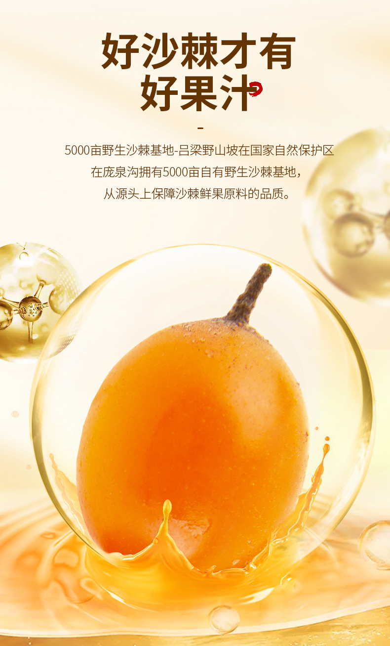 吕梁野山坡沙棘汁350ml 10瓶礼盒装