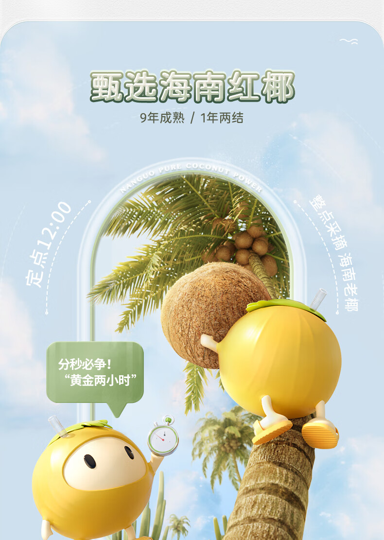 南国 纯椰子粉 椰奶椰粉早餐代餐速溶冲饮海南特产方便食品 纯椰子粉308g*2袋