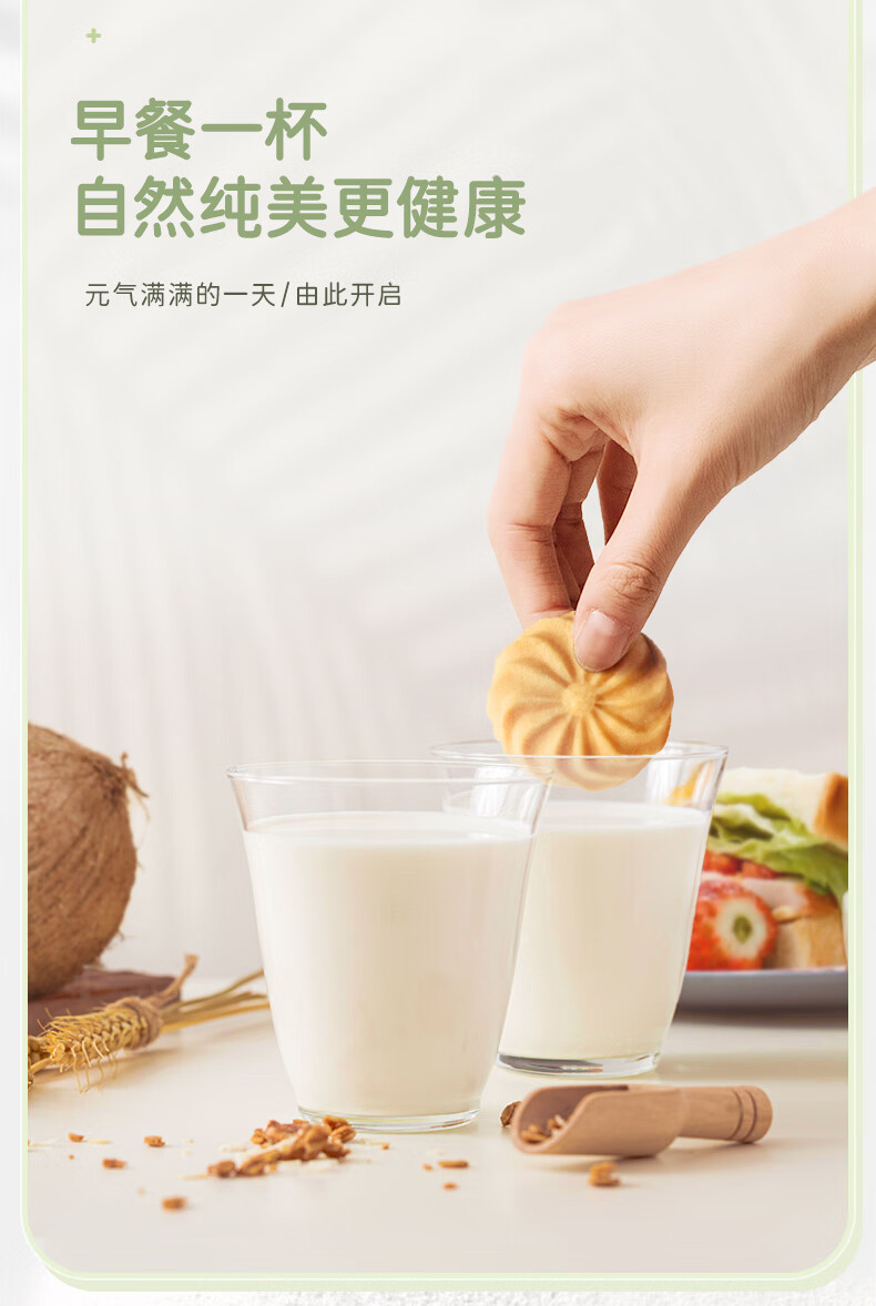 南国 纯椰子粉 椰奶椰粉早餐代餐速溶冲饮海南特产方便食品 纯椰子粉308g*2袋