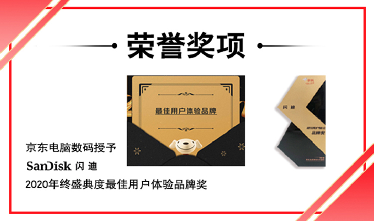 闪迪（SanDisk）SDSQQNR-128G-ZN6IA 存储卡 行车记录仪&安防监控专用内存卡 高度耐用 家庭监控