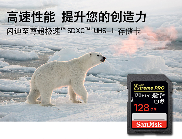 闪迪（SanDisk）SDSDXXY-128G-ZN4IN 存储卡至尊超极速版数码相机内存卡 读速170MB/s 写速90MB/s