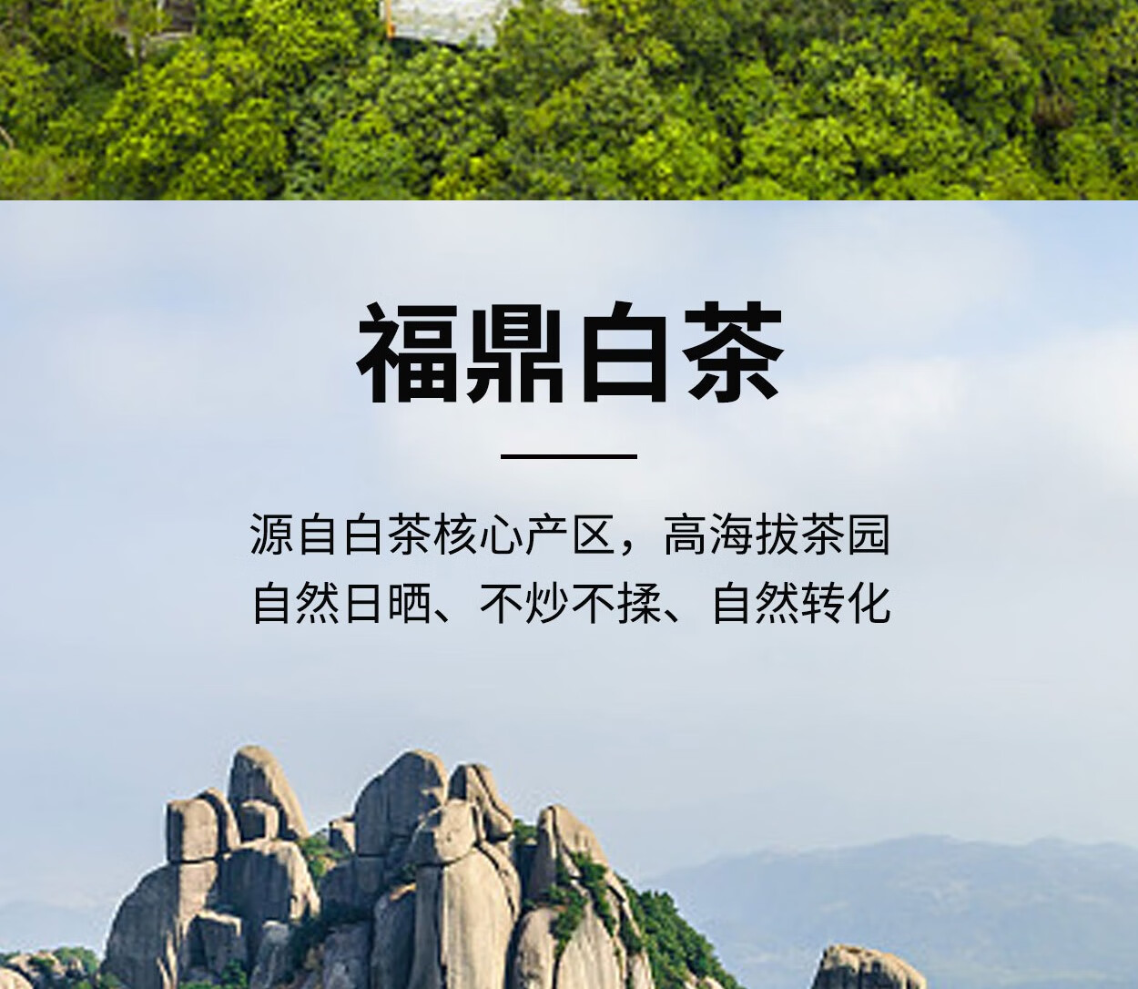得一茶 陈皮白茶礼盒 5g/泡（40泡/盒）