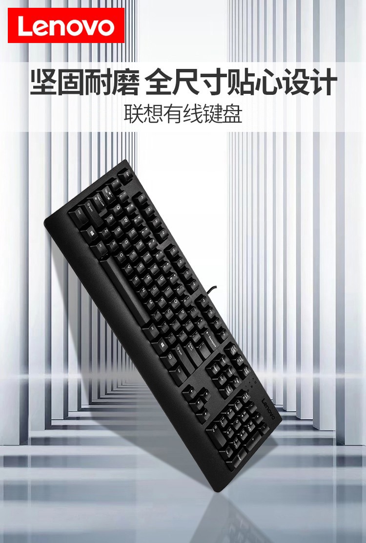 联想（Lenovo）标准USB有线键盘 家用办公电脑键盘 台式一体机笔记本外置键盘 4X30M86879