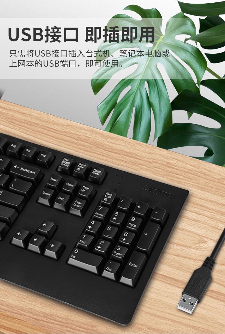 联想（Lenovo）标准USB有线键盘 家用办公电脑键盘 台式一体机笔记本外置键盘 4X30M86879