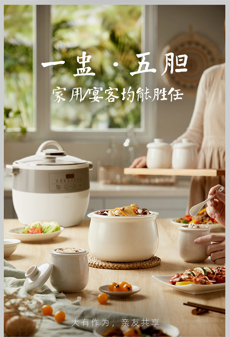 小熊（Bear）电炖锅 电炖盅 白瓷炖锅 家用陶瓷电砂锅隔水炖 煮粥养生锅一锅5胆 DDZ-B45B2小熊