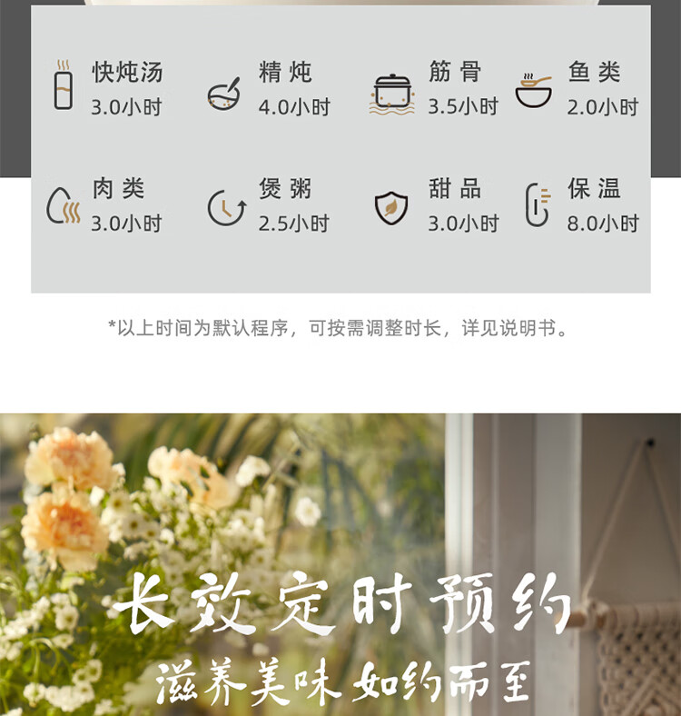 小熊（Bear）电炖锅 电炖盅 白瓷炖锅 家用陶瓷电砂锅隔水炖 煮粥养生锅一锅5胆 DDZ-B45B2小熊