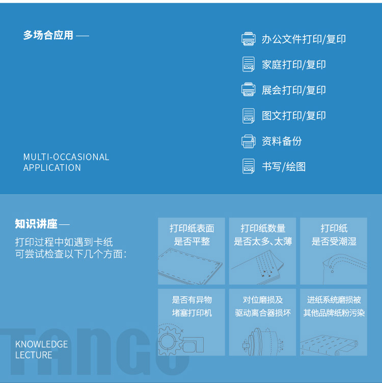 天章（TANGO）世纪天章80g A4复印纸 高品质款打印纸 500张/包 5包/箱（2500张）