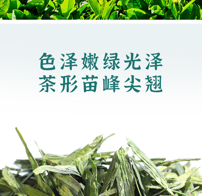 得一茶?西湖龙井茶袋装100g