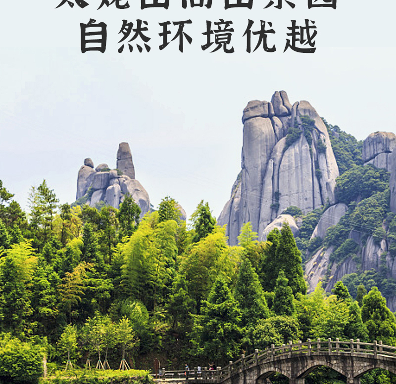 得一茶?福鼎老白茶袋装250g