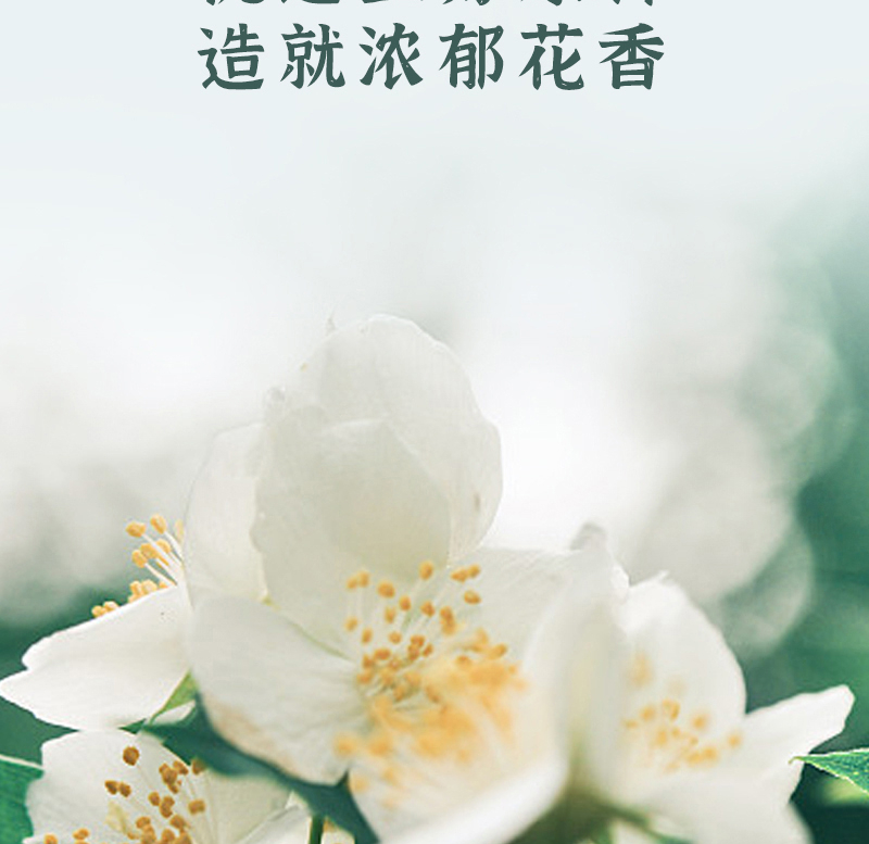 得一茶?福建茉莉花茶罐装250g