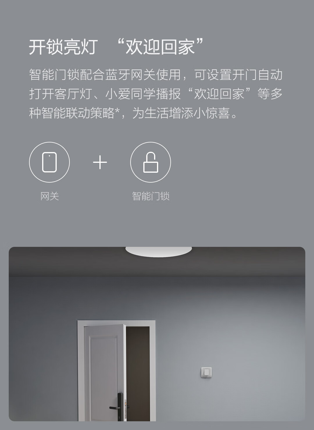 青萍（Qingping）蓝牙网关 WiFi智能门锁联动智能设备 蓝牙网关接入米家（国标）CGSPR1