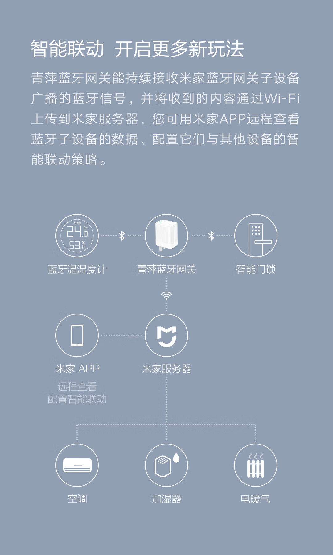 青萍（Qingping）蓝牙网关 WiFi智能门锁联动智能设备 蓝牙网关接入米家（国标）CGSPR1