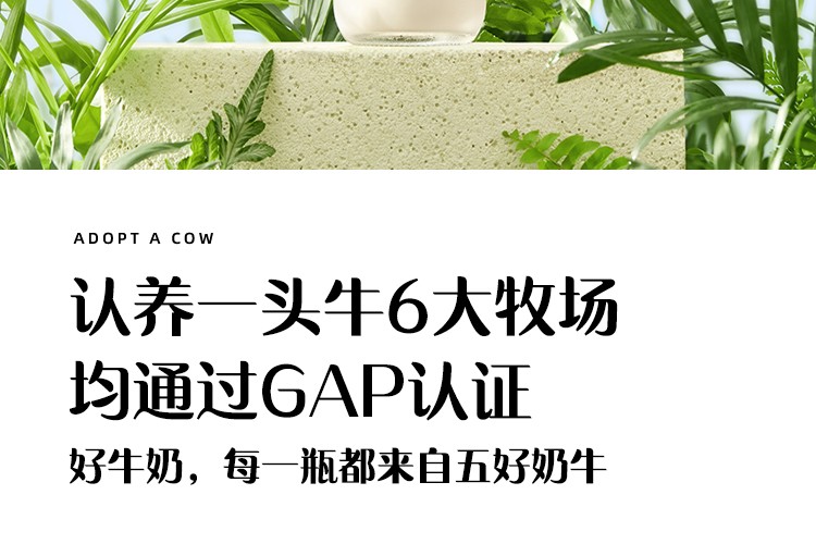 认养一头牛全脂纯牛奶200ml*12盒*2提