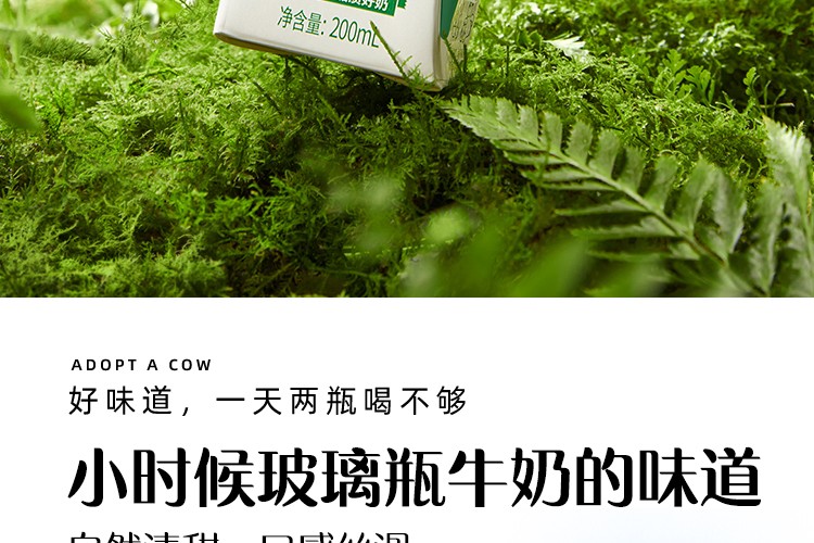 认养一头牛全脂纯牛奶200ml*12盒*2提