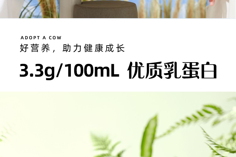 认养一头牛全脂纯牛奶200ml*12盒*2提