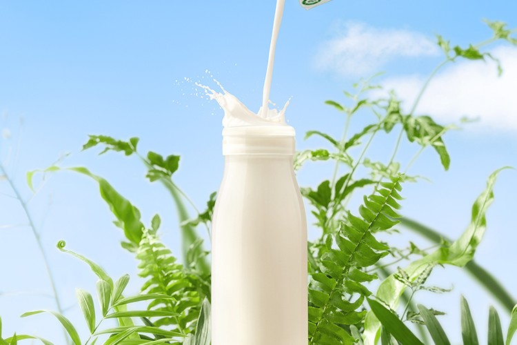 认养一头牛全脂纯牛奶200ml*12盒*2提