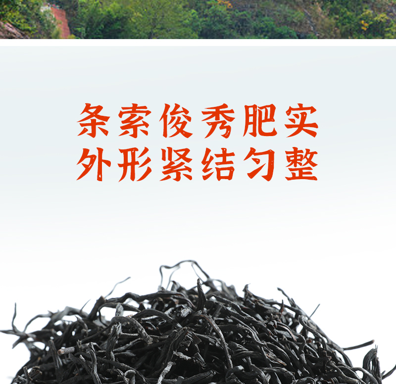 得一茶 正山小种红茶袋装100g