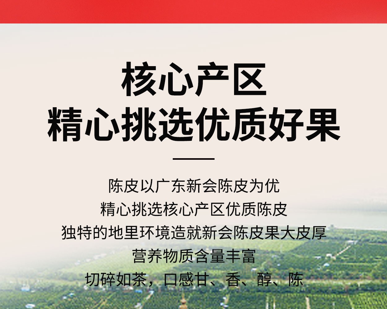 得一茶·调皮的茶 （自饮陈皮白茶饼干茶） 5g/泡 16泡/盒