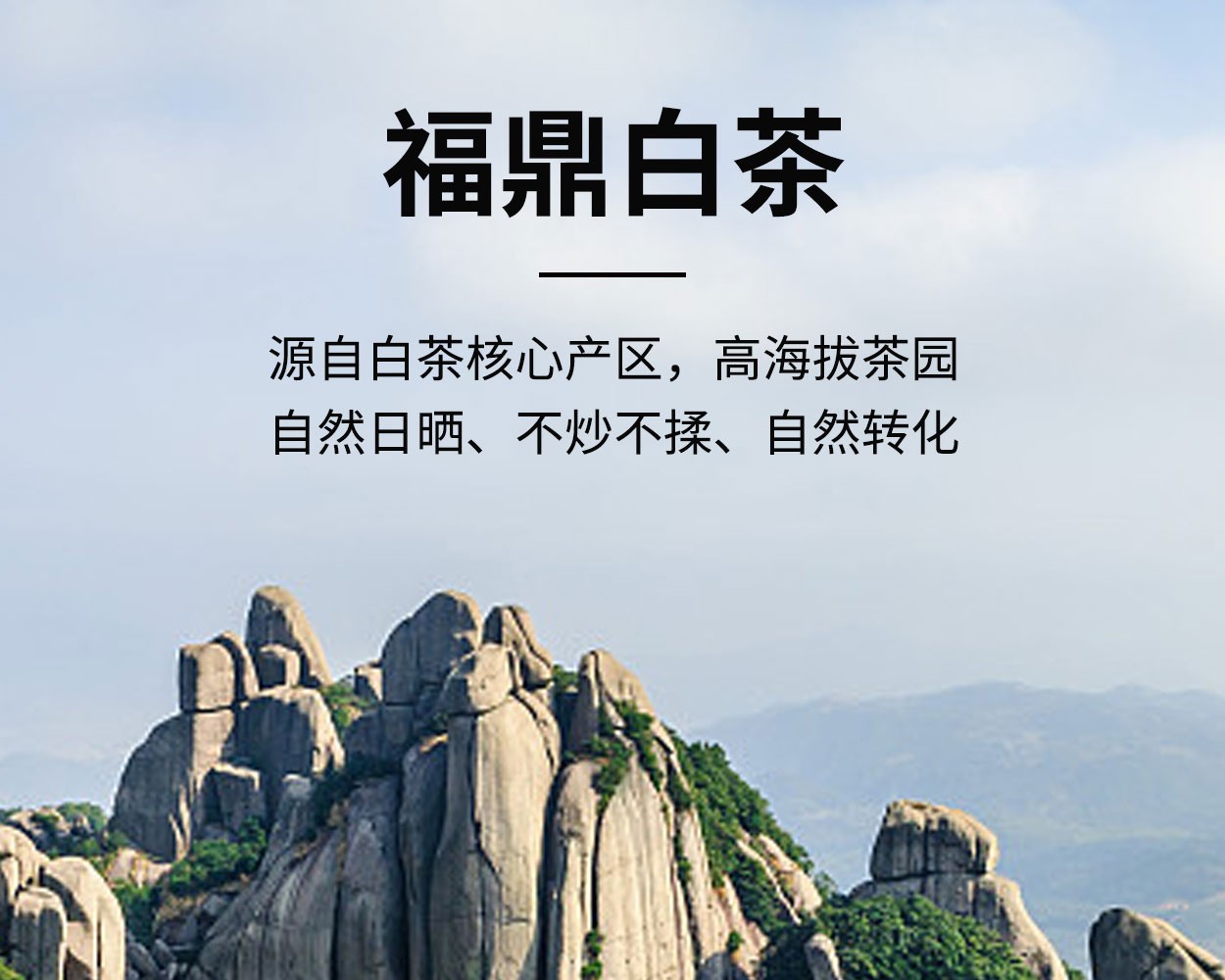 得一茶·调皮的茶 （自饮陈皮白茶饼干茶） 5g/泡 16泡/盒