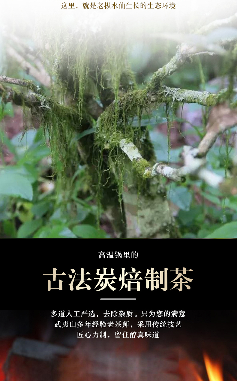 得一茶·鹿鸣水仙茶叶礼盒8g*30泡（礼盒颜色随机发）